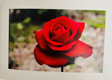 PRINTED CARDS - Occasion options