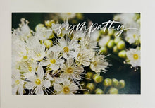 PRINTED CARDS - Occasion options