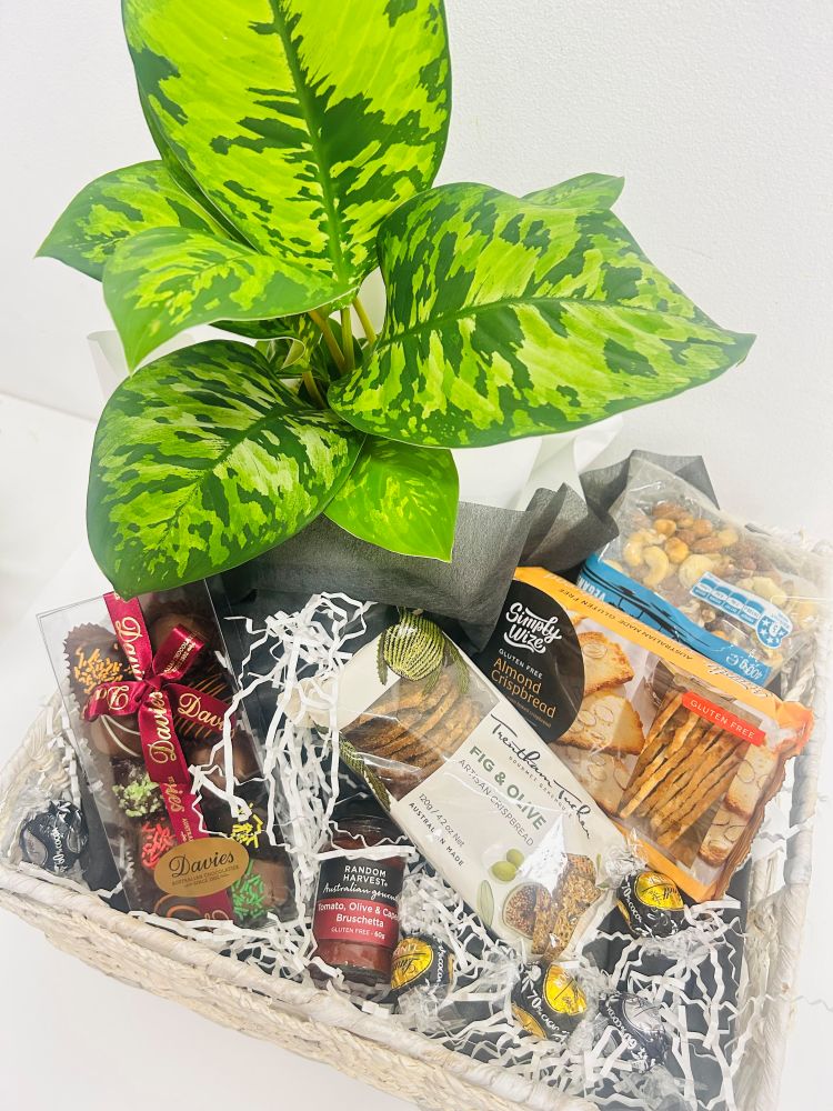 Plant & gourmet hamper from