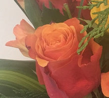 99 orange  roses valentines, 99 orange roses brisbane delivery, brendale delivery 99 orange roses, strathpine 99 orange roses, eatons hill 99  orange roses, 99 orange  roses online, 99 orange roses online brendale delivery, romantic 90 orange roses delivered, 90 orange  roses brisbane