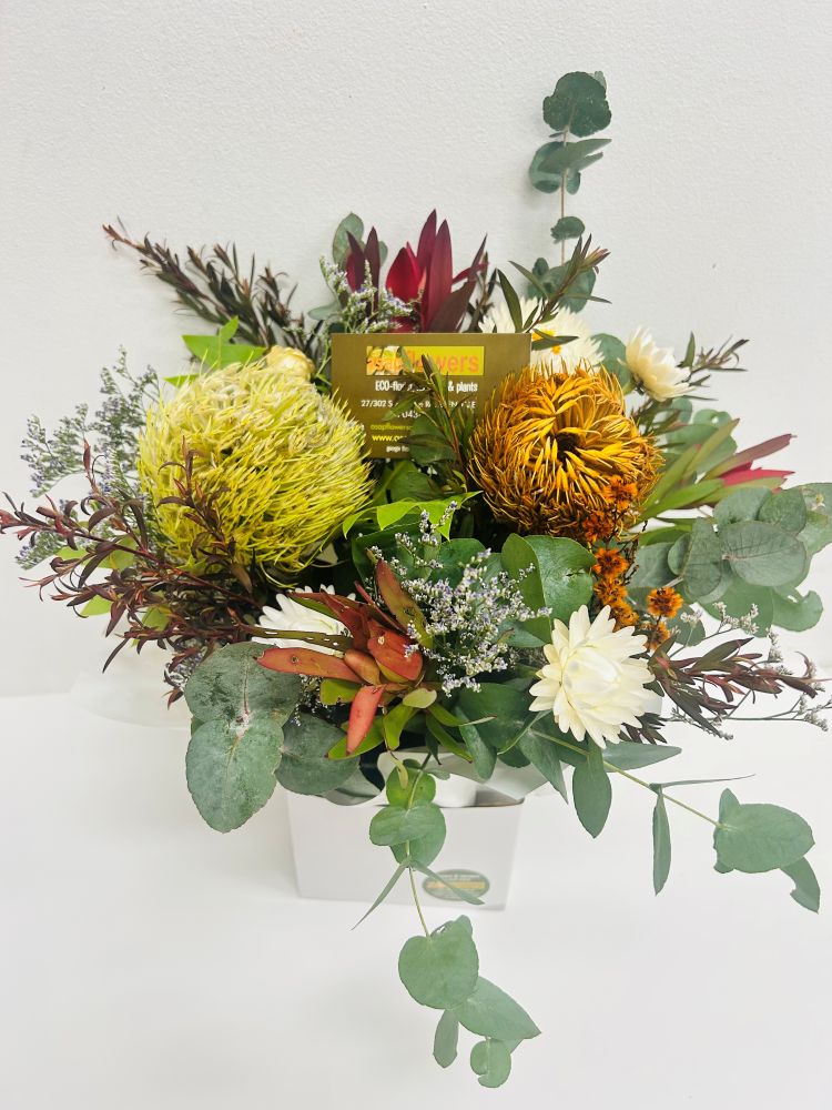 Native Box from