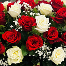 RED AND WHITE CASKET SPRAY, RED AND WHITE FUNERAL FLOWERS, ALBANY CREEK RED ROSE FUNERAL DELIVERY, BRIDGEMAN DOWNS RED ROSE FUNERAL FLOWERS, BRENDALE RED AND WHITE FUNERAL FLOWERS DELIVERED, FUNERAL DELIVERY BRISBANE, BRISBANE RED AND WHITE FLOWERS, MORETON BAY RED AND WHITE FUNERAL FLOWERS, NORTHSIDE BRISBANE FUNERAL FLOWERS, NORTHSIDE RED AND WHITE FUNERAL FLOWERS