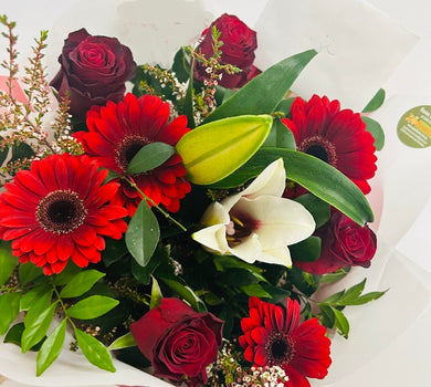 Brendale flower deliver, brendale flower shop, brendale florist, moreton bay flowers delivery, moreton bay flowers, strathpine florist, strathpine flowers christmas flower delivery, valentines flowers, mothers day flower delivery, albany creek flower delivery, eatons hill flower delivery, cashmere flower delivery, brendale florist, bray park flower delivery, bracken ridge flower delivery, bald hillls flower delivery, bracken ridge flowers, bald hills flowers, florist near me brendale, moreton bay flowers