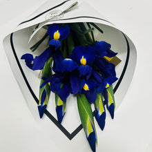 bouquet of Blue Iris deliereed brisbane, purple iris delivered brisbane, farm fresh locally grown iris, brendale bouquet iris flowers delivered, moreton bay iris delivery, blue flowers brendale, blue flowers northside brisbane, blue flowers delivered strathpine,bouquet blue flowers delivered eatons hill, baby boy flower delivery, new born blue flowers brisbane delivery