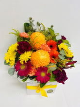 bright flowers to brendale, brendale bright flower delivery, brendale florist, moreton bay bright flower delivery, strathpine bright flowers, bright flower shop, lawnton flower deliver, bright flowers to lawnton