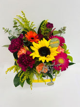 Bright BOX - mixed colours from