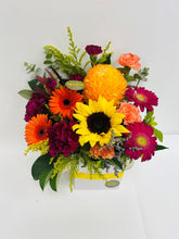 Bright BOX - mixed colours from