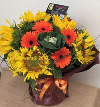 sunflowers brendale, sunflower delivery brisbane, sunflower bunch brendale, strathpine sunflowers, bracken ridge sunflowers, florist near me brendale, florist near me eatons hill, brisbane sunflowers delivered, moreton bay sunflowers, northside sunflower delivery, strathpine sunflower bunch delivery, sunflower shop, brisbane sunflowers