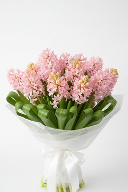 HYCINTHS from
