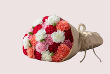 Carnations  from
