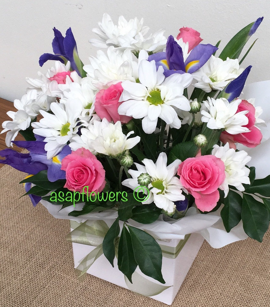 chysanthemums box delivery brendale, mothers day flowers brendale, brendale mothers day, daisies to brendale, strathpine chrysanthemums, rose box brendale, mothers day flower delivery brisbane
