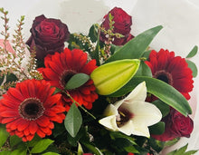 Gerbera Love (all colours)  from
