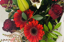 Gerbera Love (all colours)  from