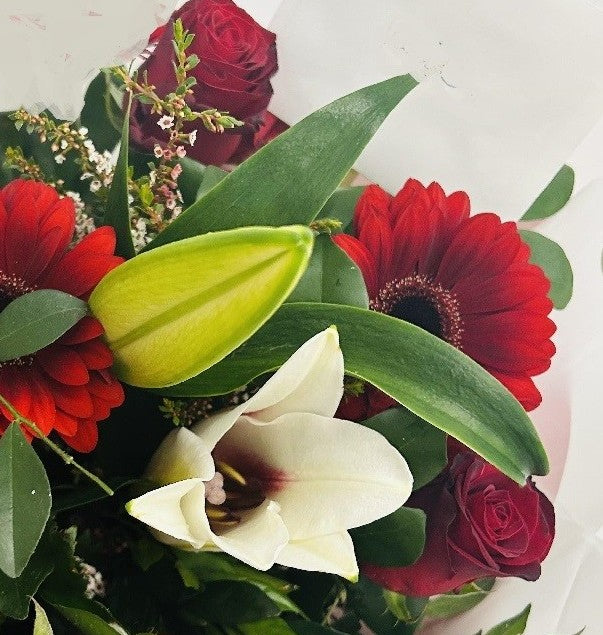 Gerbera Love (all colours)  from