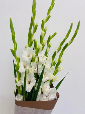 GLADIOLI - Fresh  market bunch from