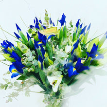 Blue Iris deliereed brisbane, purple iris delivered brisbane, farm fresh locally grown iris, brendale iris flowers delivered, moreton bay iris delivery, blue flowers brendale, blue flowers northside brisbane, blue flowers delivered strathpine, blue flowers delivered eatons hill, baby boy flower delivery, new born blue flowers brisbane delivery