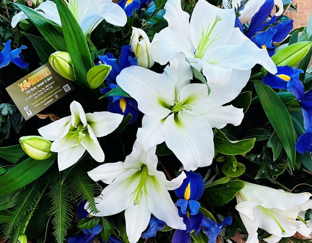 blue and white funeral casket, funeral casket flowers brisbane, brendale funeral flowers, albany creek funeral casket, bridgeman downs funeral flowers, blue and white sympathy flowers, coffin flowers delivered, coffin flowers albany creek, bridgman downs coffin flowers delivered