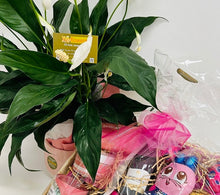 easter hamper delivery, easter eggs and flowers, easter flowers brendale, easter flowers albany creek, easter flowers brisbane, easter flowers strathpine, strathpine easter flowers, easter hamper eatons hill, easter hamper delivered, brendale