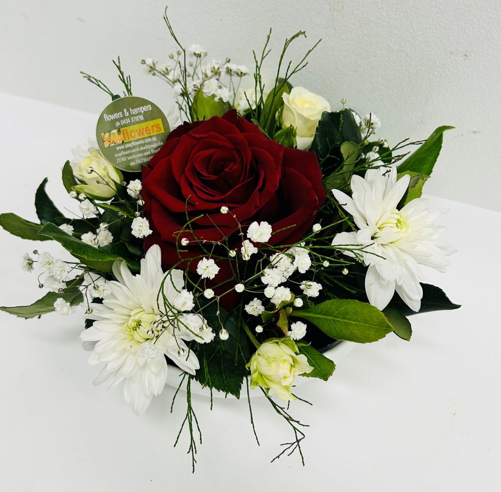 ROSITA- Modern Bowl Design