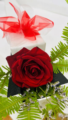 single stem rose delivery brisbane, single stem red roses brisbane, single stem northside brisbane delivery ingle stem roses and bears eatons hill, eatons hill red roses, albany creek red roses, single stem valentines roses, valentines red roses