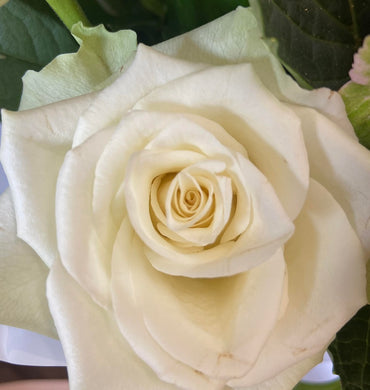 Single STem roses (quantiybuys) suitable for funerals - all colours