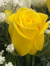 ARMOUR3 - 3 single stem Roses (colour options)
