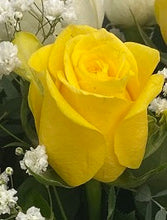 99 yellow roses valentines, 99 yellow roses brisbane delivery, brendale delivery 99 yellow roses, strathpine 99 yellow roses, eatons hill 99 yellow roses, 99 yellow roses online, 99 yellow roses online brendale delivery, romantic 99 yellow roses delivered, 99 yellow  roses brisbane