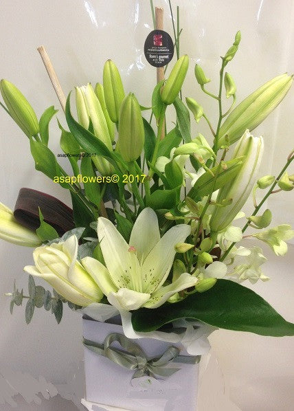 BOX OF LILLIES, BOX OF ORCHIDS, LILLIES TO BRENDALE, BRISBANE LILLY DELIVERY, LILLIES IN A BOX BRISBANE, BRENDALE FUNERAL FLOWERS, FUNERAL FLOWERS DELIVERED BRISBANE