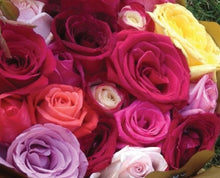 ARMOUR24 - 24 long stem roses (colour options)