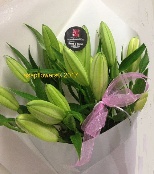 lilly delivery brisbane, brisbane lillys, strathpine lillys, brendale lilly, brendale delivery lilly, white lilly, funeral flowers brendale, eatons hill lilly, eatons hill florist, albany creek lilly, carseldine lilly, bald hills lilly, brisbane flwoer delivery lilly