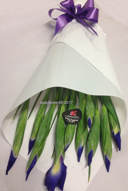 Blue Iris deliereed brisbane, purple iris delivered brisbane, farm fresh locally grown iris, brendale iris flwoers delivered