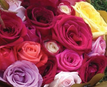 mixed colours  rose box, mixed colours roses, brendale mixed colours rose box, brendale rose delivery, valentines roses brendale