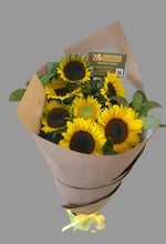 sunflowers brendale, sunflower delivery brisbane, sunflower bunch brendale, strathpine sunflowers, bracken ridge sunflowers, sunflowers brendale, sunflower delivery brisbane, sunflower bunch brendale, strathpin sunflowers, bracken ridge sunflowers, florist near me brendale, florist near me eatons hill, brisbane sunflowers delivered