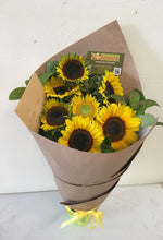 sunflowers brendale, sunflower delivery brisbane, sunflower bunch brendale, strathpin sunflowers, bracken ridge sunflowers, 