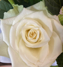 white rose box, whte roses, brendale white rose box, brendale rose delivery, valentines roses brendale
